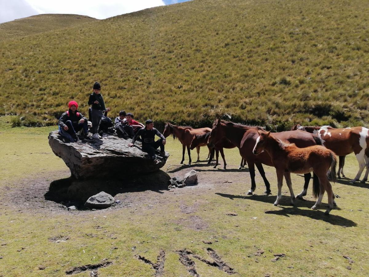 Hospedaje Don Pablo Hotel Otavalo Luaran gambar